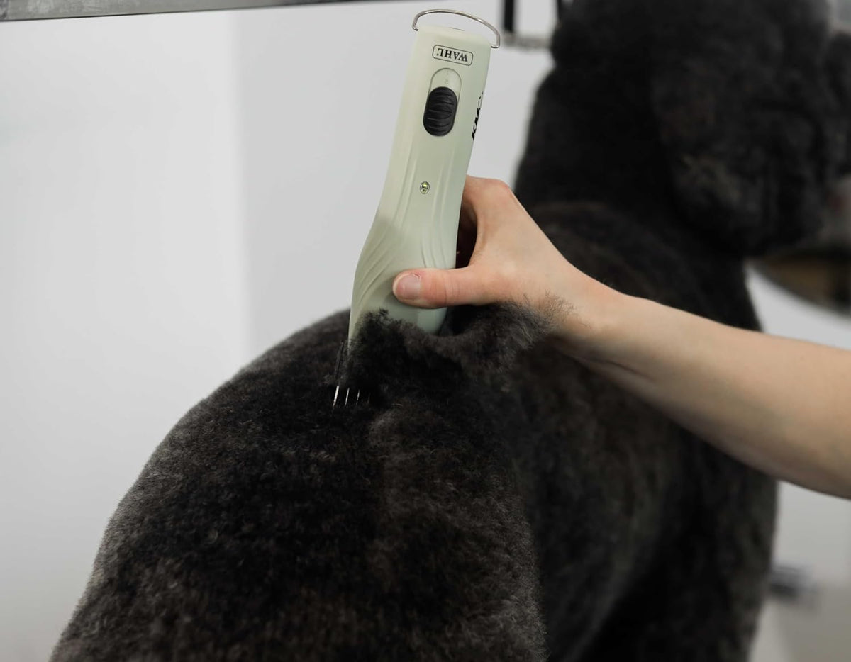 Professional Dual-Speed Cordless Pet Hair Clipper Set, Detachable Blade, Brown-Green