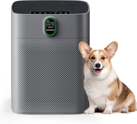 Large Room Air Purifier 1076 sq.ft PM2.5 Display 24dB Gray